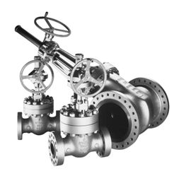 Steel Valves from Shree Ashapura Enterprises